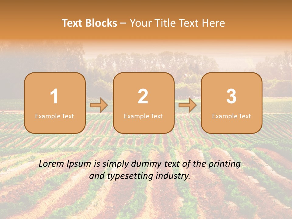 Tarım Arazisi PowerPoint Template