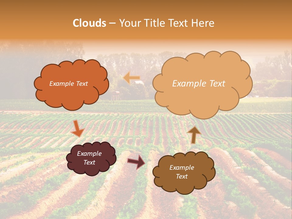 Tarım Arazisi PowerPoint Template