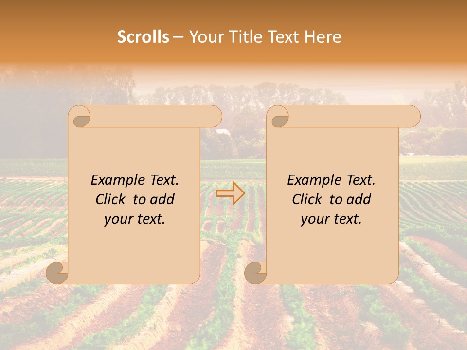 Tarım Arazisi PowerPoint Template