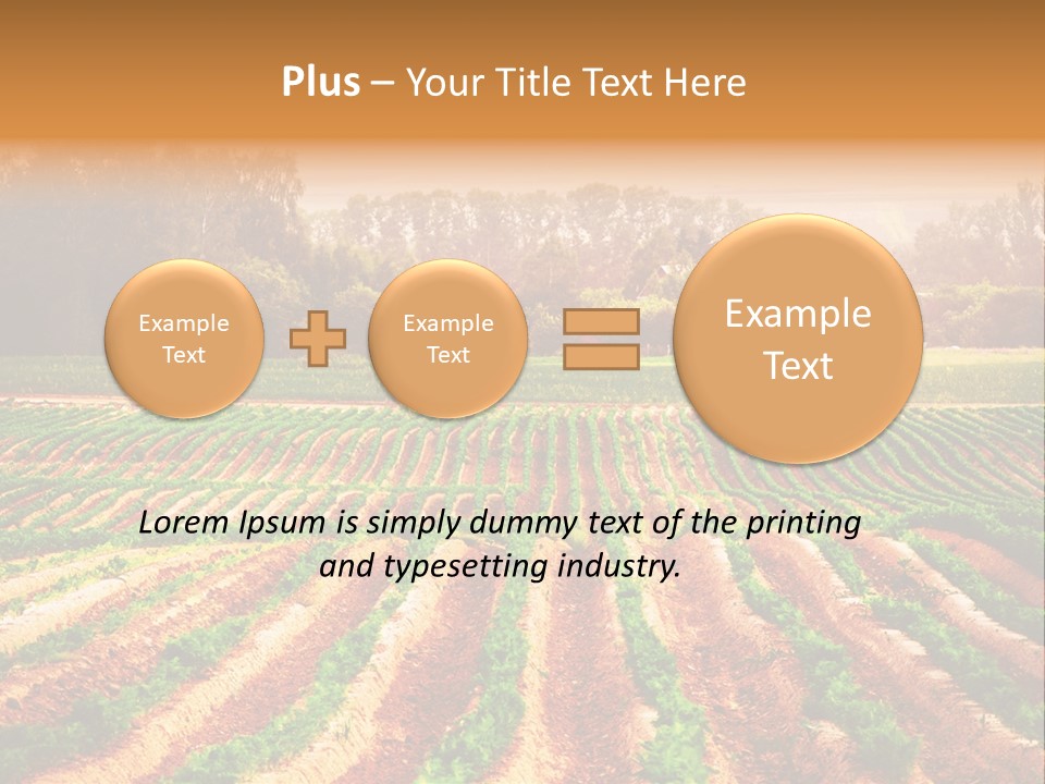 Tarım Arazisi PowerPoint Template