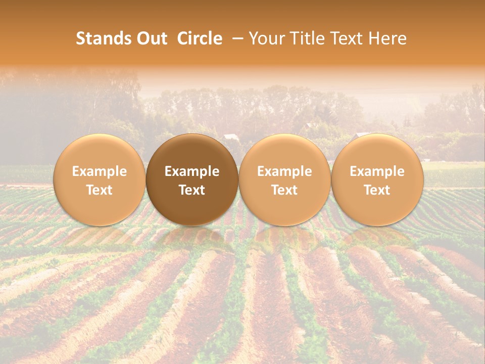 Tarım Arazisi PowerPoint Template