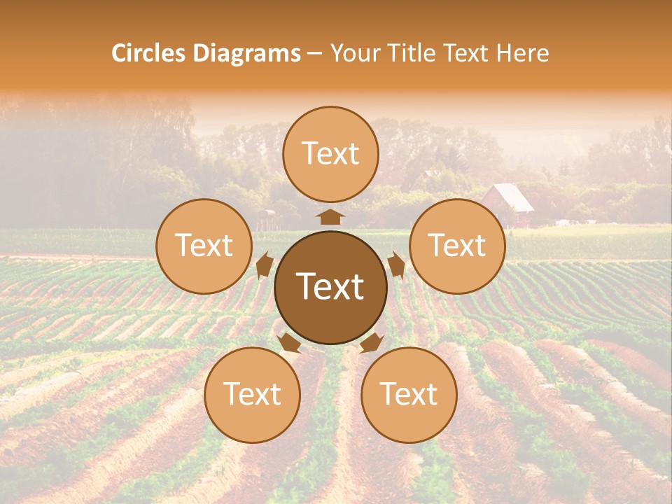 Tarım Arazisi PowerPoint Template