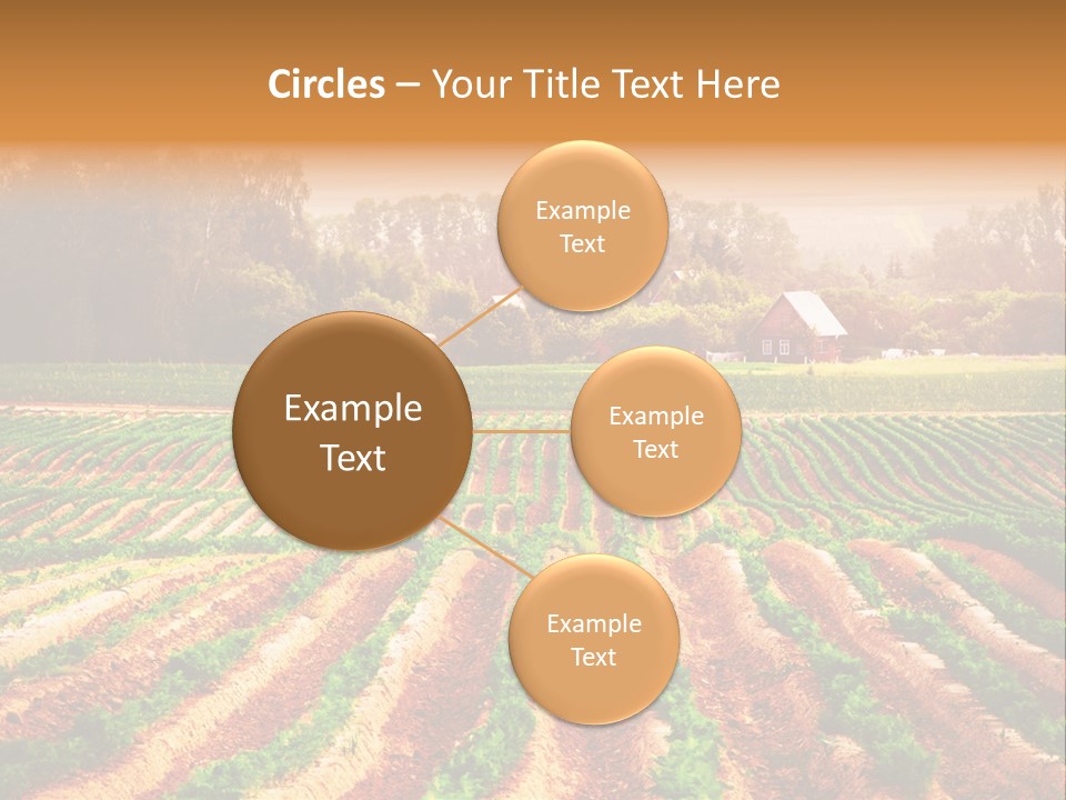 Tarım Arazisi PowerPoint Template