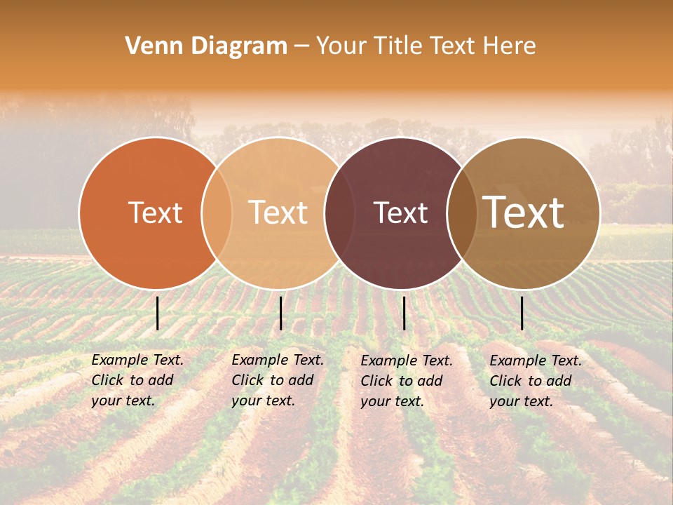 Tarım Arazisi PowerPoint Template