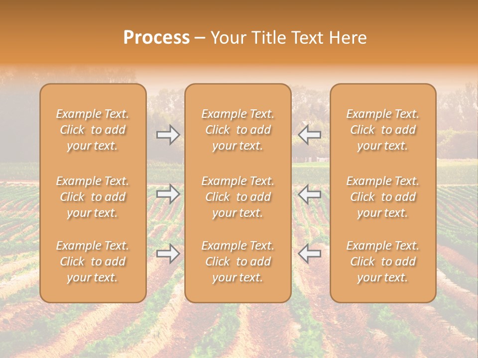 Tarım Arazisi PowerPoint Template