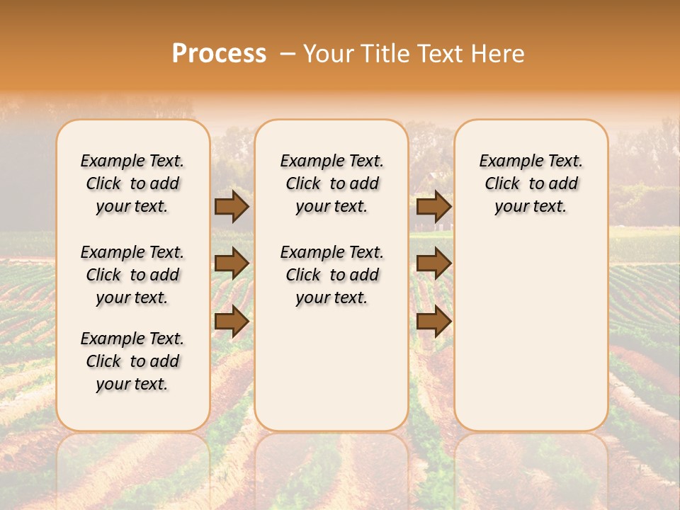 Tarım Arazisi PowerPoint Template