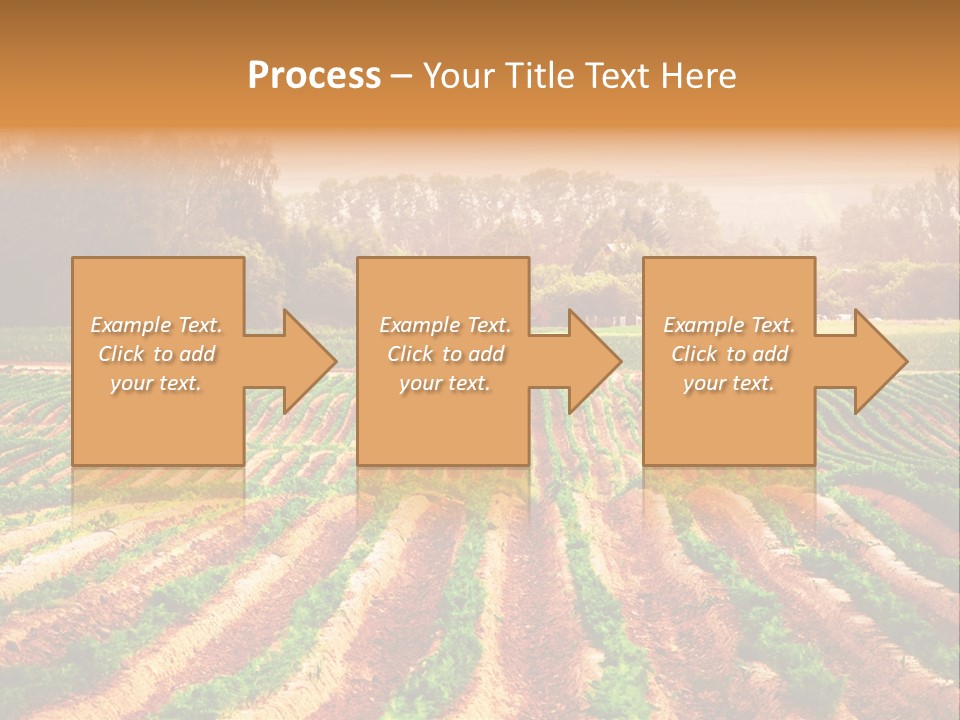 Tarım Arazisi PowerPoint Template