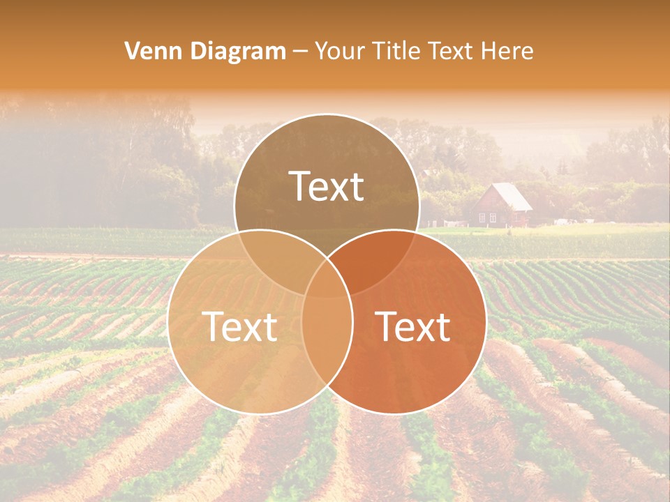 Tarım Arazisi PowerPoint Template