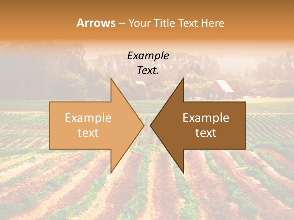 Tarım Arazisi PowerPoint Template