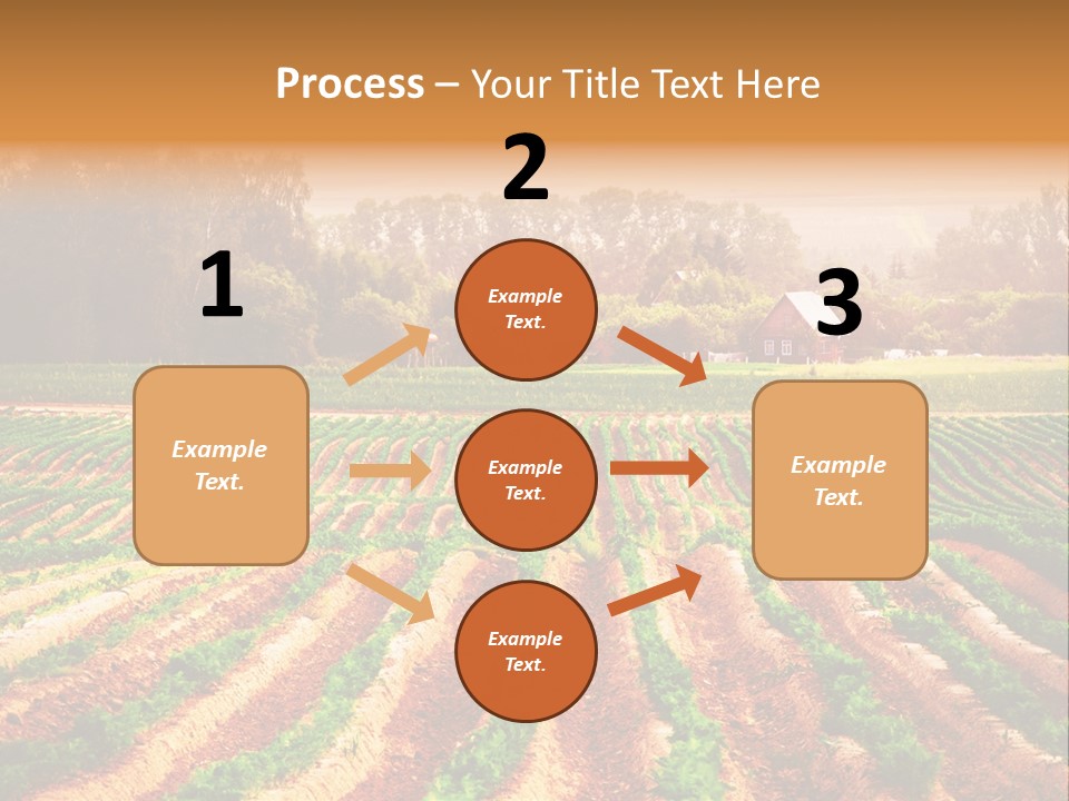 Tarım Arazisi PowerPoint Template