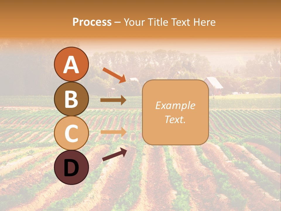 Tarım Arazisi PowerPoint Template