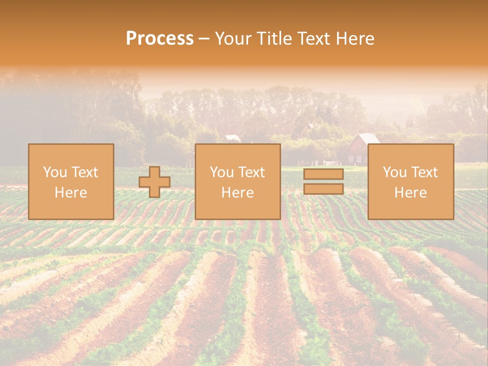 Tarım Arazisi PowerPoint Template