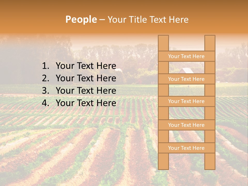 Tarım Arazisi PowerPoint Template