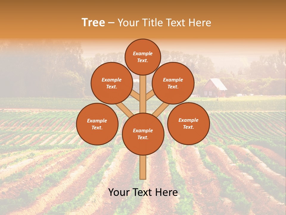 Tarım Arazisi PowerPoint Template