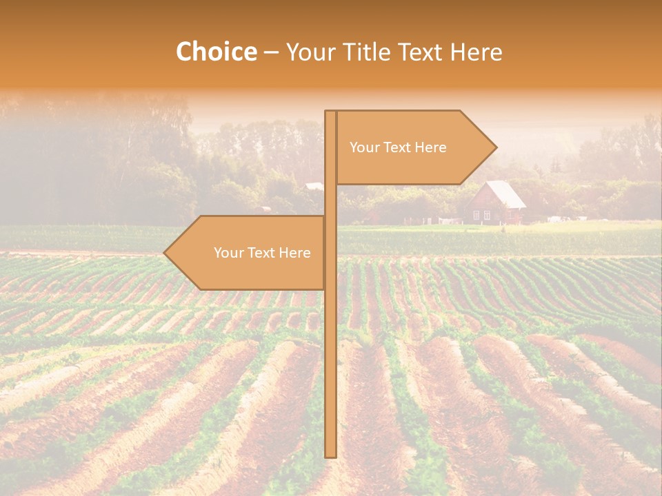 Tarım Arazisi PowerPoint Template