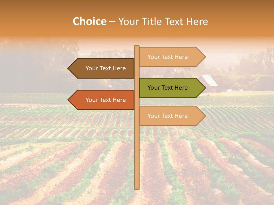 Tarım Arazisi PowerPoint Template