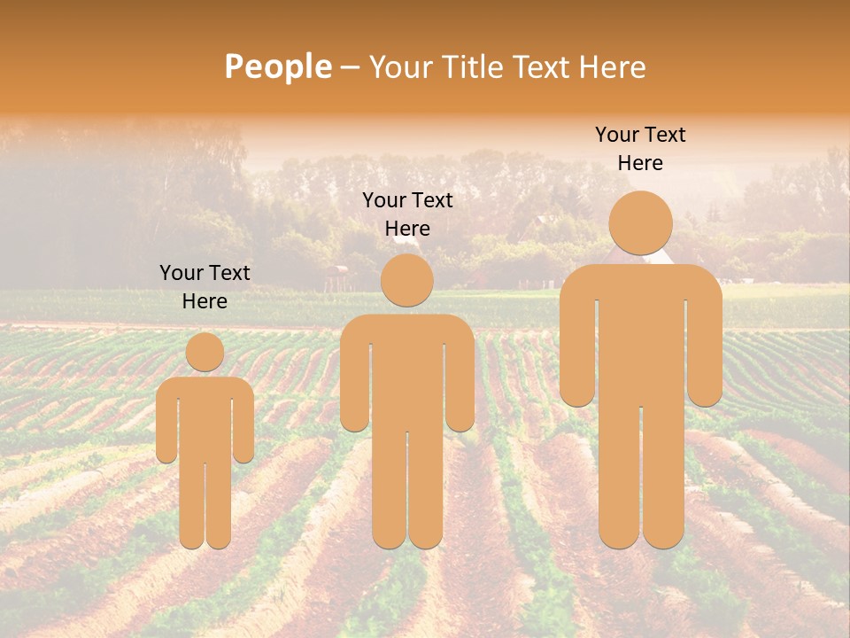 Tarım Arazisi PowerPoint Template