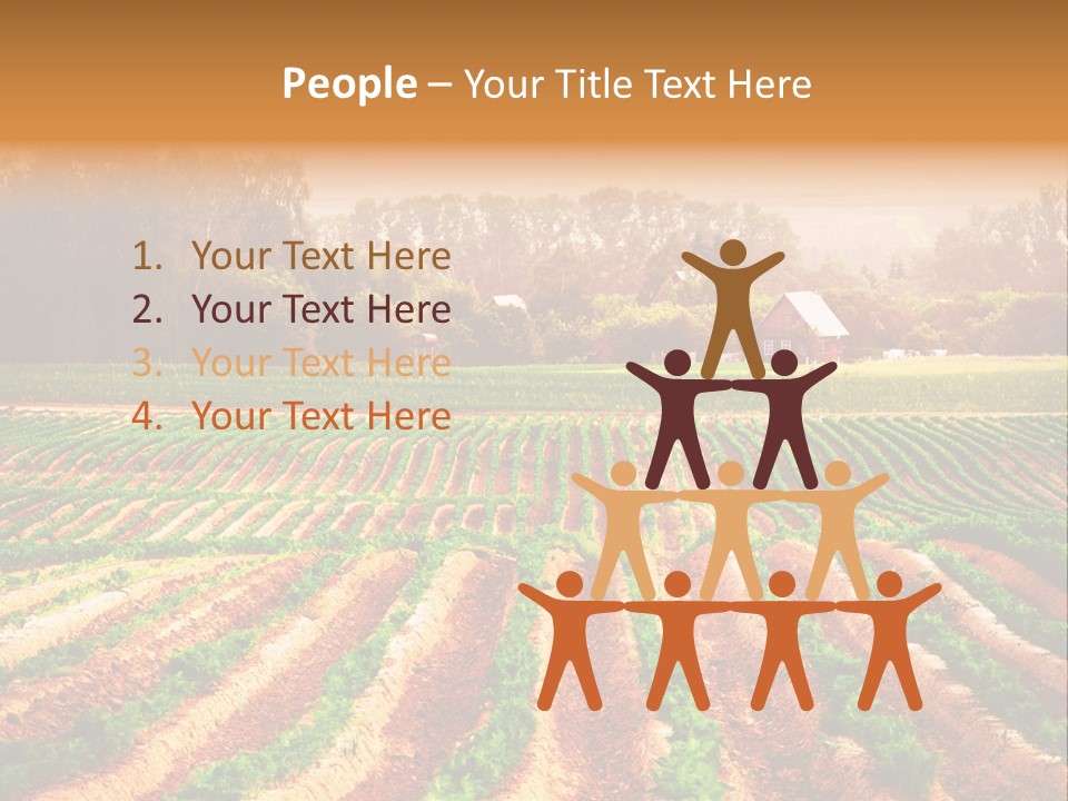 Tarım Arazisi PowerPoint Template