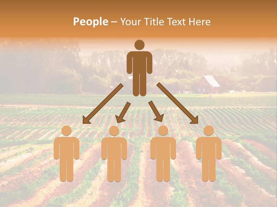 Tarım Arazisi PowerPoint Template