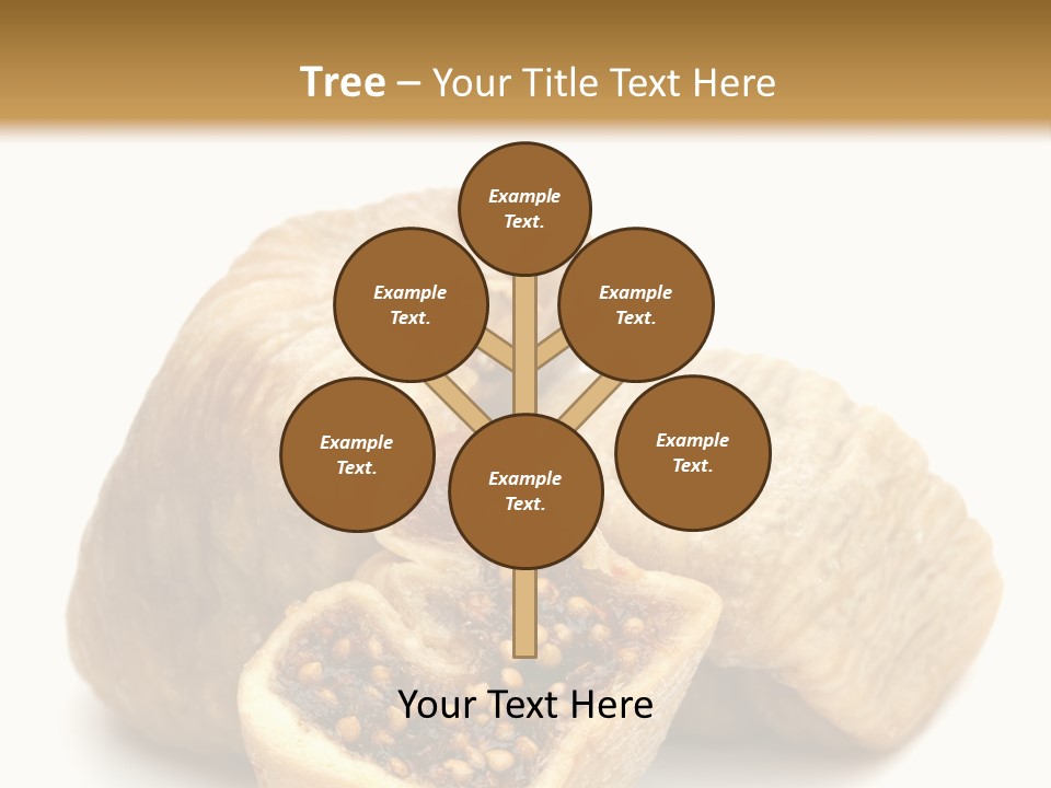 Dried Figs PowerPoint Template