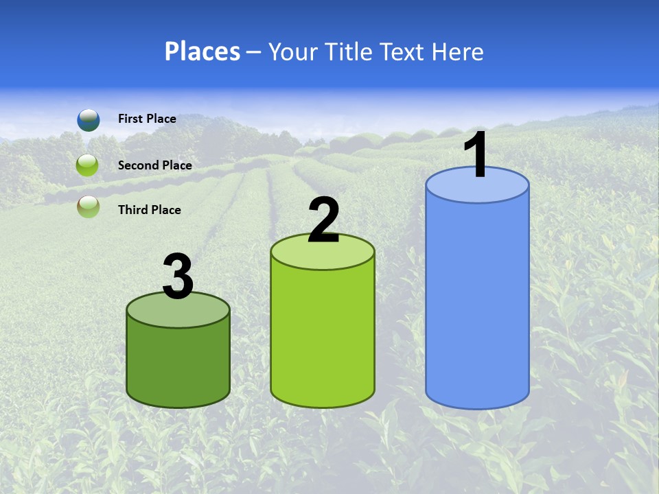 Tea Leaves PowerPoint Template