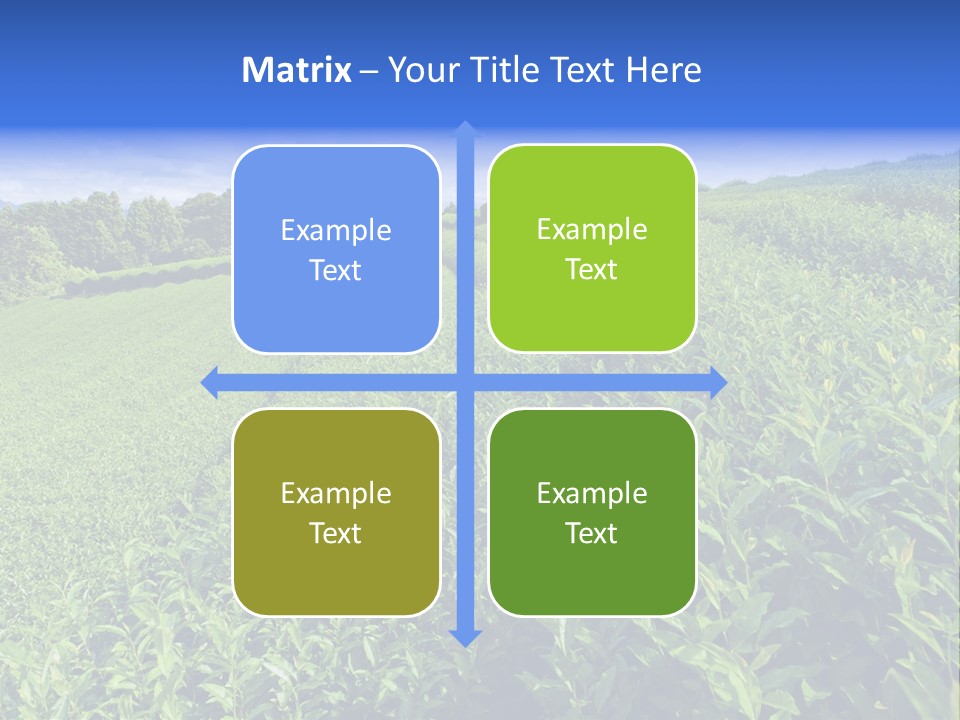 Tea Leaves PowerPoint Template