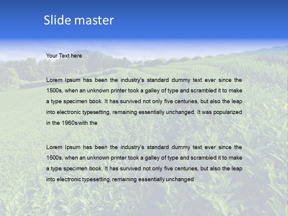 Tea Leaves PowerPoint Template