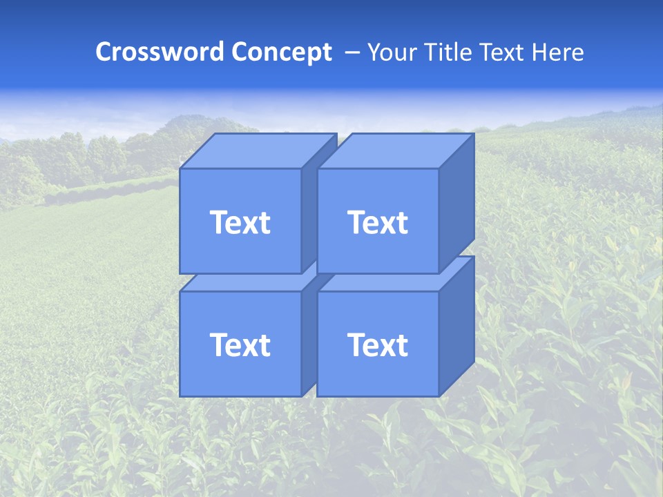 Tea Leaves PowerPoint Template