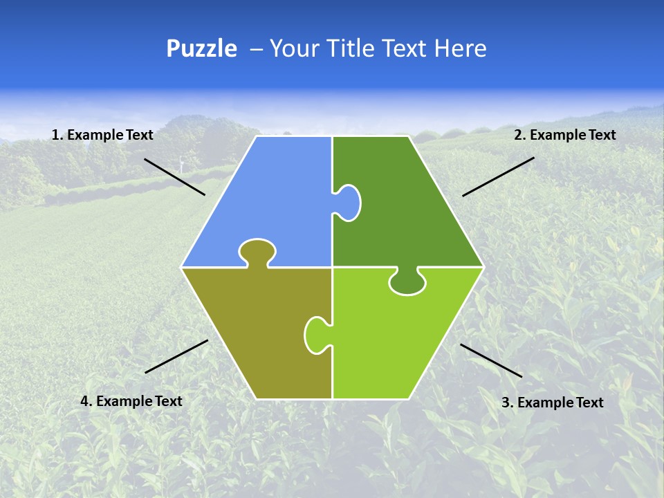 Tea Leaves PowerPoint Template