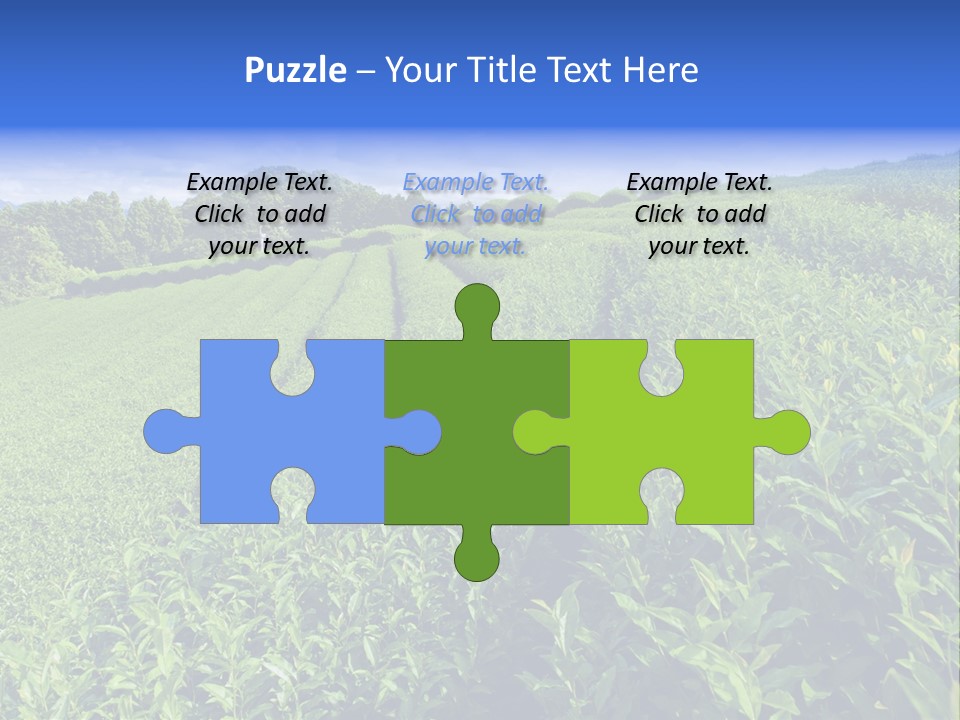 Tea Leaves PowerPoint Template