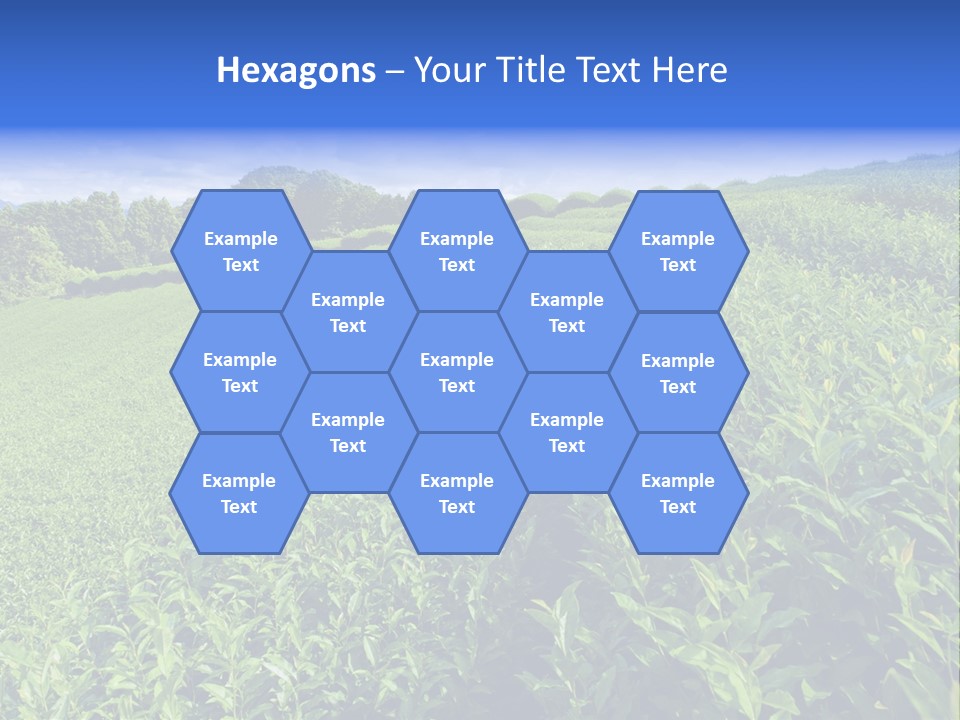 Tea Leaves PowerPoint Template