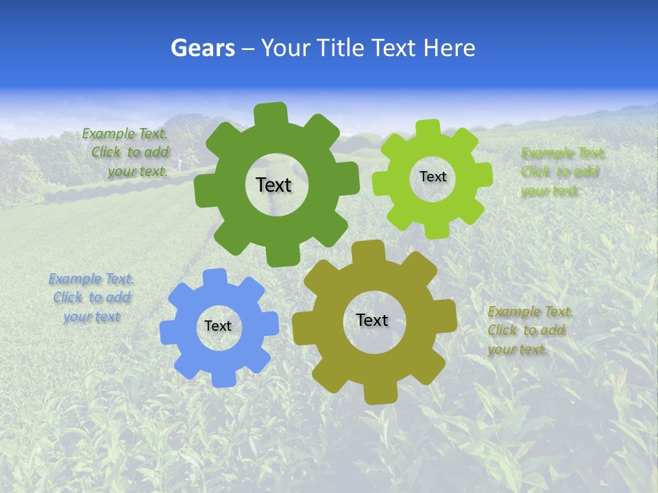 Tea Leaves PowerPoint Template
