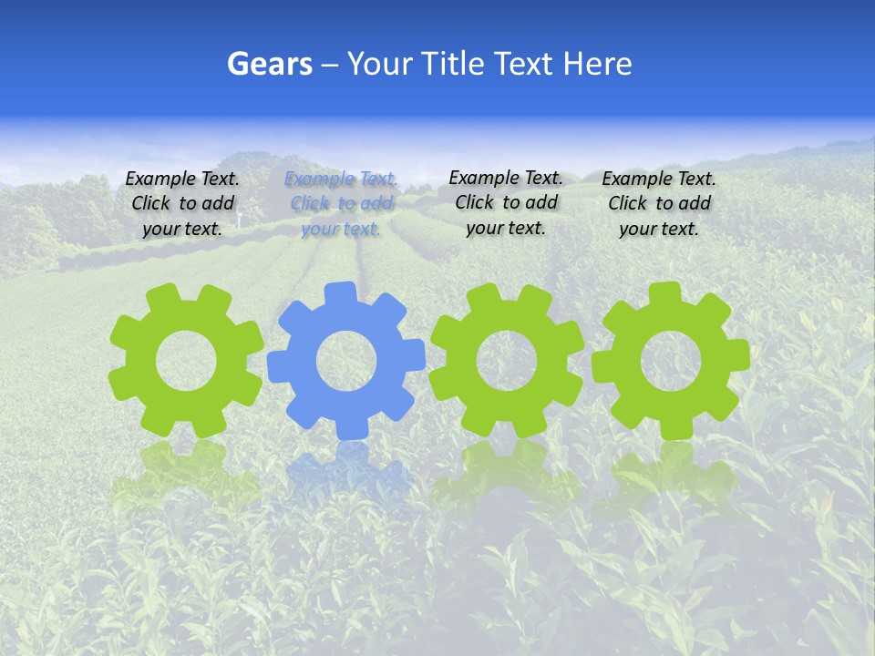 Tea Leaves PowerPoint Template