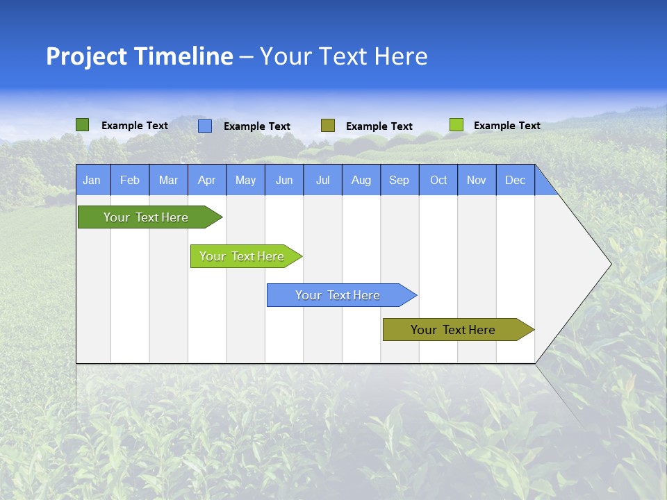Tea Leaves PowerPoint Template