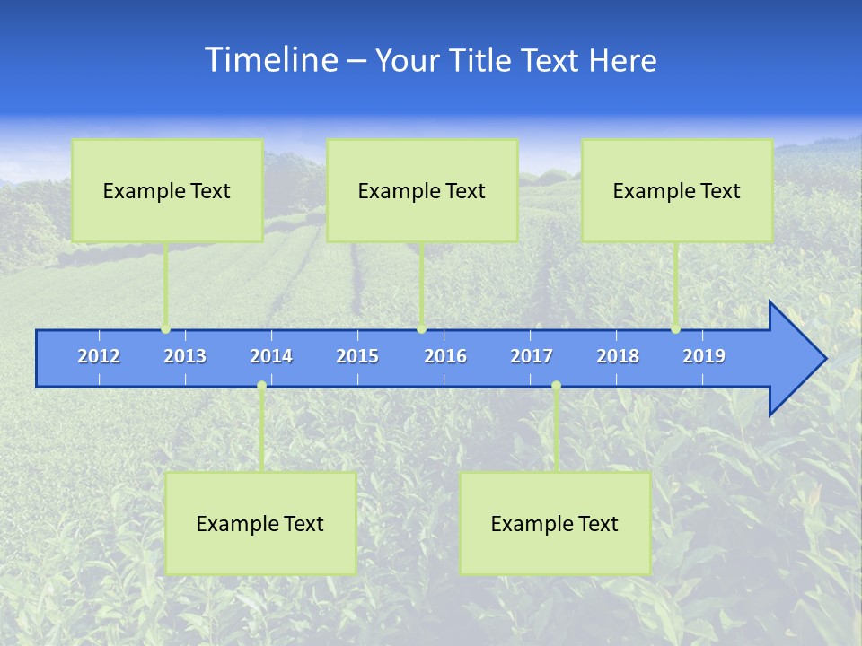 Tea Leaves PowerPoint Template