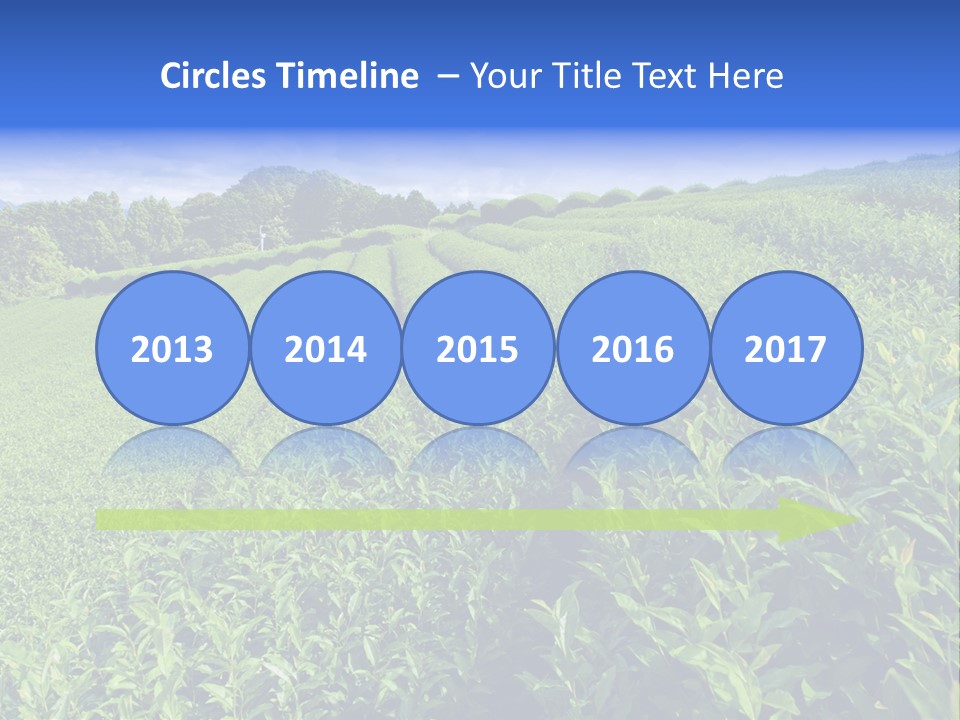 Tea Leaves PowerPoint Template