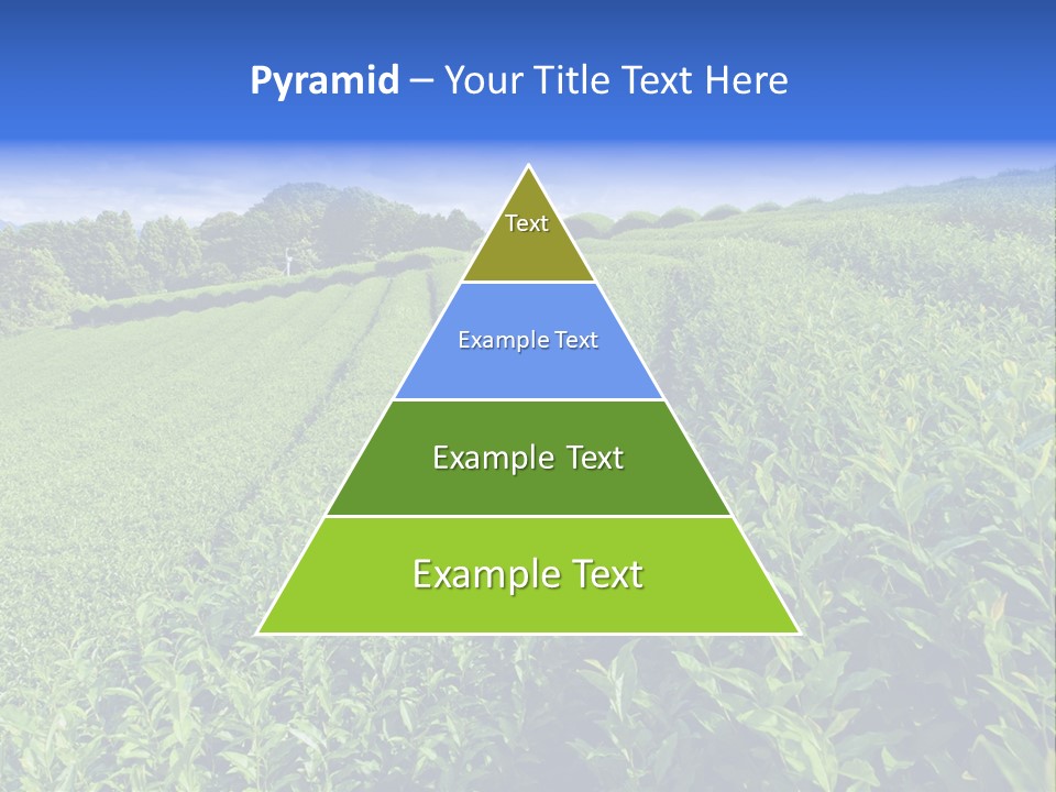 Tea Leaves PowerPoint Template