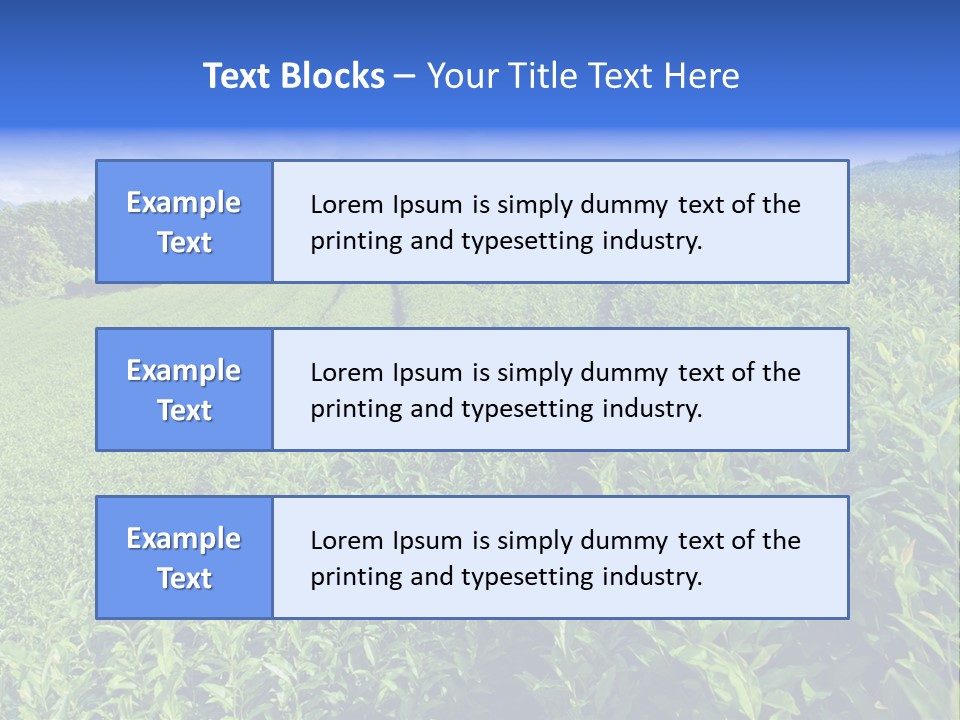 Tea Leaves PowerPoint Template