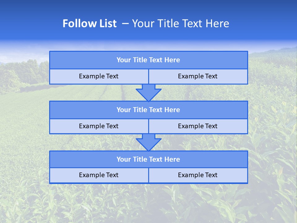 Tea Leaves PowerPoint Template