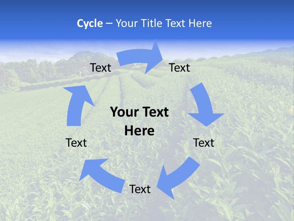 Tea Leaves PowerPoint Template