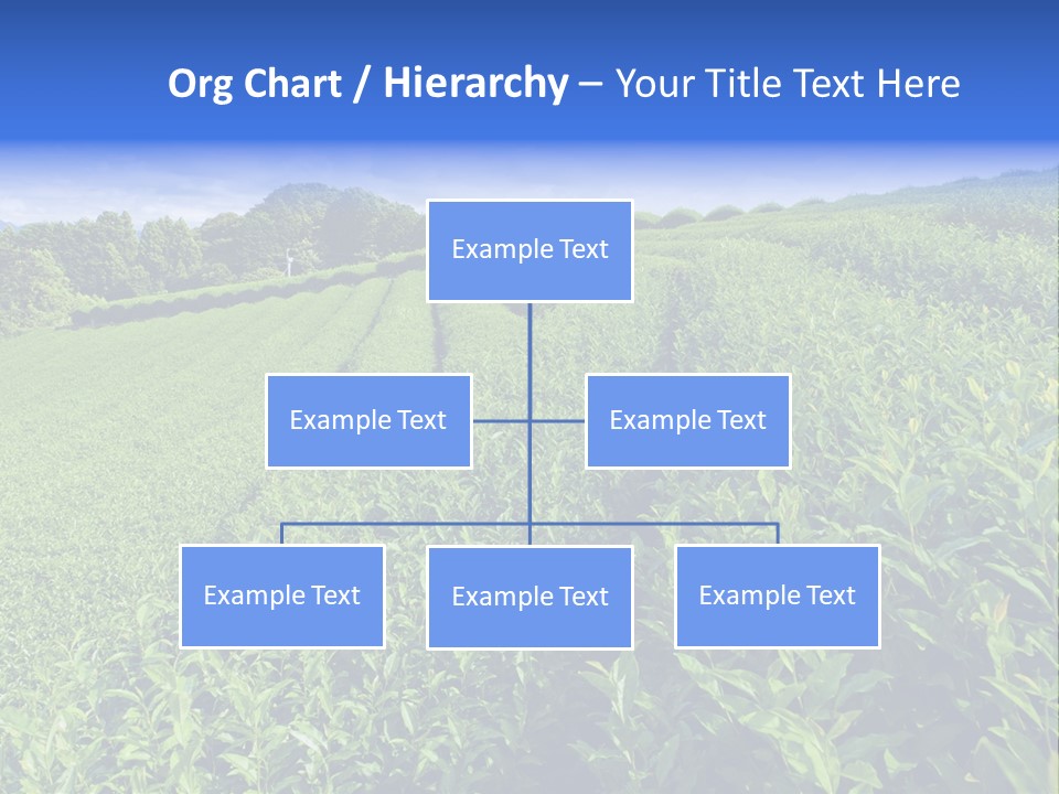 Tea Leaves PowerPoint Template