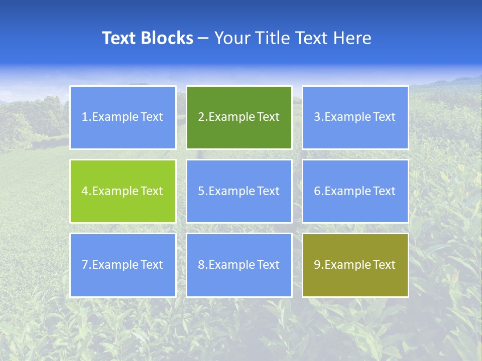 Tea Leaves PowerPoint Template