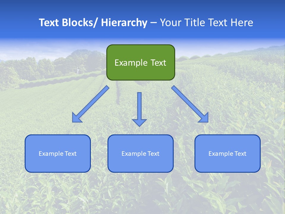 Tea Leaves PowerPoint Template