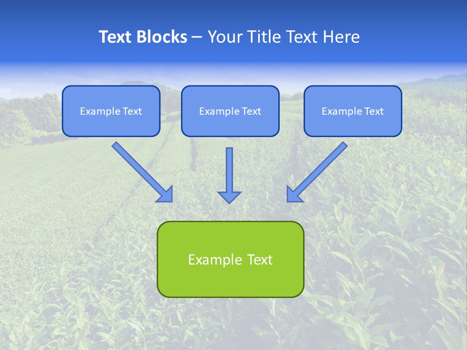 Tea Leaves PowerPoint Template