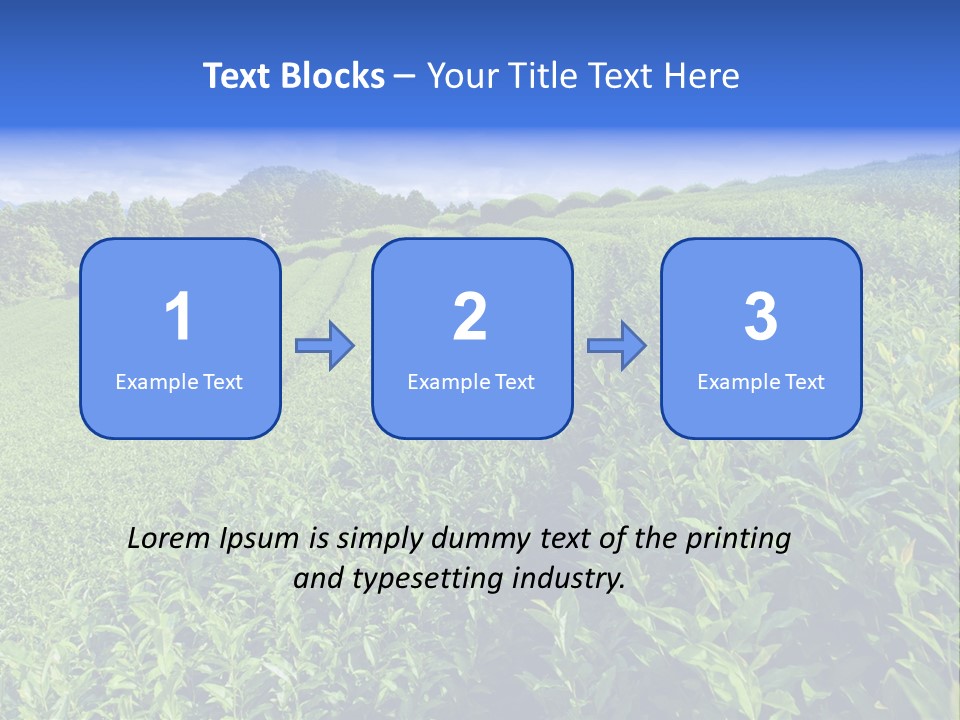 Tea Leaves PowerPoint Template