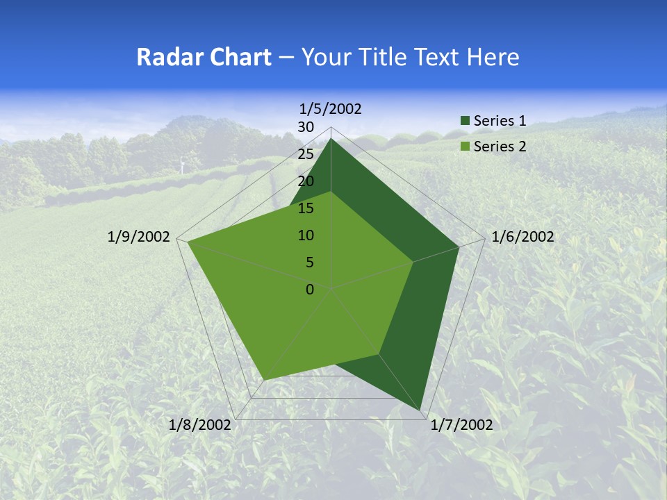 Tea Leaves PowerPoint Template