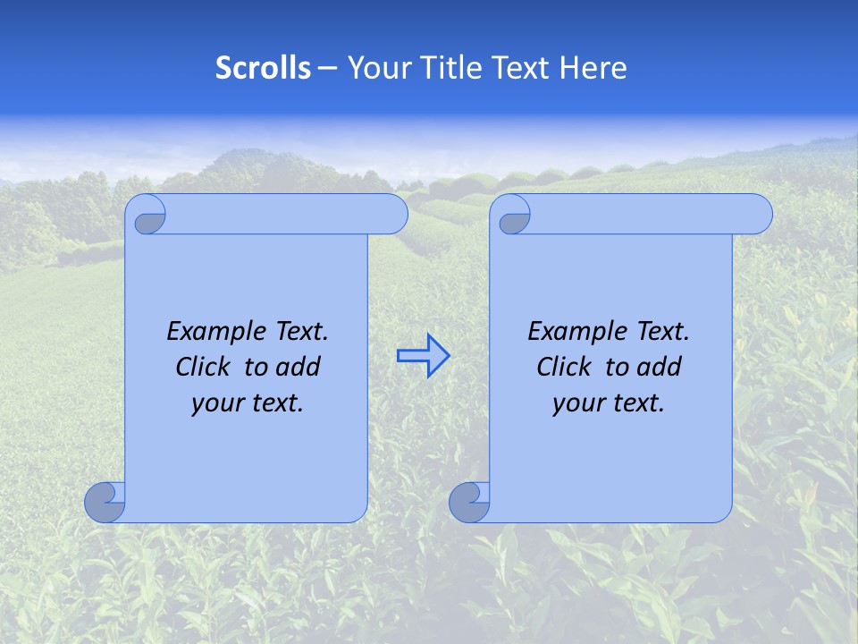 Tea Leaves PowerPoint Template