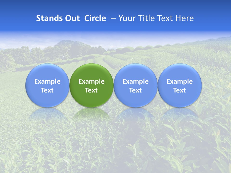 Tea Leaves PowerPoint Template