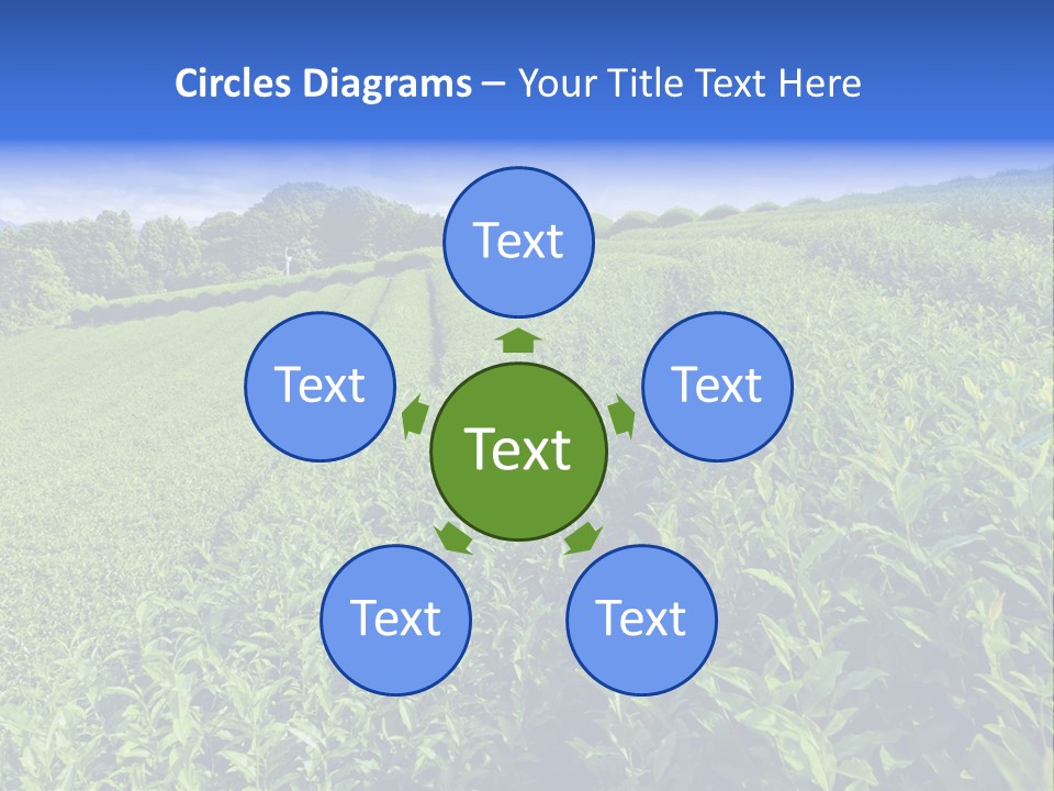 Tea Leaves PowerPoint Template