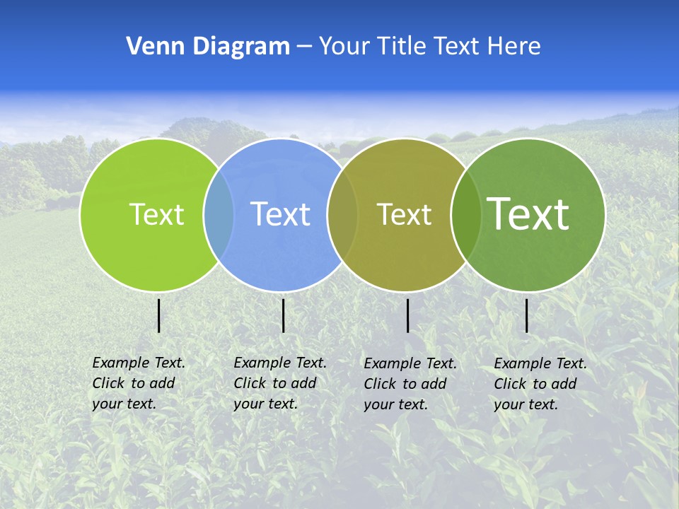 Tea Leaves PowerPoint Template